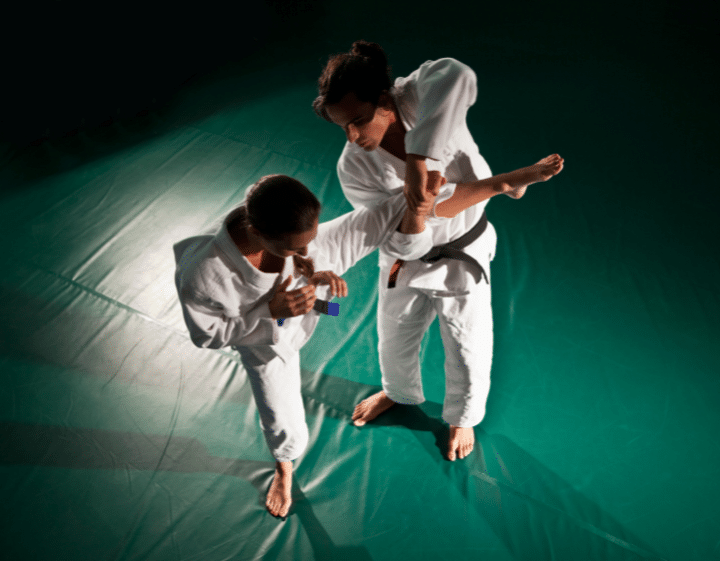 jiu jitsu moves